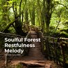 Forest Sounds、Ambient Forest、Rainforest Sounds - Birds by the Steady Stream