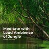 Forest Sounds、Ambient Forest、Rainforest Sounds - Expeditious River Flow