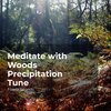 Forest Sounds、Ambient Forest、Rainforest Sounds - Hushed Forest Melody