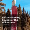 Forest Sounds、Ambient Forest、Rainforest Sounds - Animals in Natural Habitat
