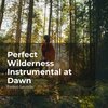 Forest Sounds、Ambient Forest、Rainforest Sounds - Relishing the Nature