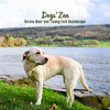 River Sounds、Sounds Dogs Love、Good Dog Music - Canine River Retreat