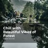 Forest Sounds、Ambient Forest、Rainforest Sounds - Silence in the Jungle