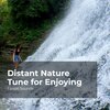 Forest Sounds、Ambient Forest、Rainforest Sounds - Wind in the Wilderness
