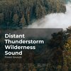 Forest Sounds、Ambient Forest、Rainforest Sounds - River Musical Pattern