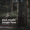 Forest Sounds、Ambient Forest、Rainforest Sounds - Musical Forest Ambience