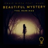 Omair Mirza、david thulin、Avari - Beautiful Mystery (David Thulin Remix)
