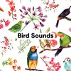 Bird Sound Collectors - Pure and Serene Bird Sounds