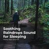 Heavy Rain Sounds、Rain Shower Spa、Lullaby Rain - Soaking Wet in Storm