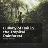 Forest Sounds、Ambient Forest、Rainforest Sounds - Tropical Sultry Forest