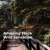 Forest Sounds、Ambient Forest、Rainforest Sounds - Nature Escapade