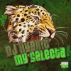 DJ Hybrid《My Selecta》[MP3/LRC]