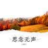 小阿六 - 思念无声