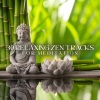 Asian Spa Experience《The Calm State》[MP3/LRC]