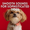 Shush Shush Shush、Songs for Dogs to Sleep To、Dog Music Bliss - Serene Canine Vibes
