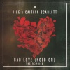 Vice、Caitlyn Scarlett《Bad Love (Qulinez Remix)》[MP3/LRC]