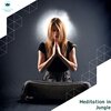 Serenity Calls - Soulful Tales (Original Mix)
