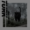 Bobinx、音WeiYouNi、LONERLI - Move Your Body (Orginal Mix)