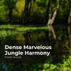 Forest Sounds、Ambient Forest、Rainforest Sounds - Birds in Steady Stream