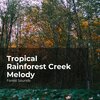 Forest Sounds、Ambient Forest、Rainforest Sounds - Forest Musical Aura