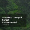 Forest Sounds、Ambient Forest、Rainforest Sounds - Calm in the Wilderness