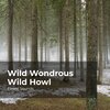 Forest Sounds、Ambient Forest、Rainforest Sounds - Wilderness Tranquility