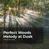 Forest Sounds、Ambient Forest、Rainforest Sounds - Towards the Waterfall