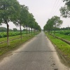向阳与吉他 - 外面的世界