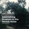 Forest Sounds、Ambient Forest、Rainforest Sounds - Chilling in the Riverbank