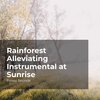 Forest Sounds、Ambient Forest、Rainforest Sounds - Crickets of the Woods