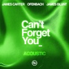 James Carter、Ofenbach、James Blunt - Can’t Forget You (feat. James Blunt)(Acoustic)