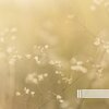 Relaxing Music For You、Meditation Music For You、Sleep Music - Quiet Marimba