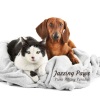 Jazz And Java、Famous Doggy Music、Fashionable Doggy Music - Paws Tap to Jazzy Beats