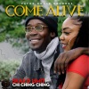 Skaii D Limit、Chi Ching Ching - Come Alive (Explicit)