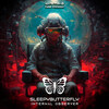 Sleepybutterfly - Internal Observer