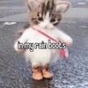 Home of swag also downtown indy owo、Dunebuggy Girl - rain boots (feat. Dunebuggy Girl)