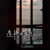 CR3. - 遗憾也值得 (0.8降速版)