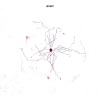 PHONO、Mestie、Pota - Metamorph
