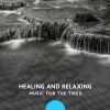 Spiritual Healing Consort - Tired Mind of Work
