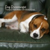 Soporific Pink Noise、Home Alone Dog Music、Songs for Dogs to Sleep To - Canine Slumber in Twilight