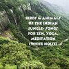 Natural Sounds、Natural Sounds Selections、Zen Sounds - Feathered Harmony