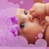 Nursery Rhymes Baby TaTaTa、Sleep Baby Bee - The Land of Colours