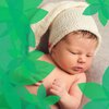 Nursery Rhymes Baby TaTaTa、Sleep Baby Bee - Yoga in the Jungle