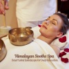 Wonderful Escape、amazing Spa Experience、One Hour Spa Music - Caress of the Cool Wind