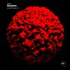 Geryken - Acetaminophen