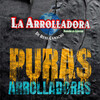 La Arrolladora Banda el Limón de Rene Camacho - El Tarasco