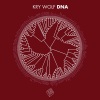 Nuage、Dmitry Kuzmin - Soulfiction (Original Mix)