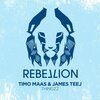timo maas、James Teej - thingzz (Original Mix)
