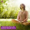 Maya Tandon - Stress Free Bells