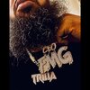 TRILLA TRILLZ - The Money Mantra